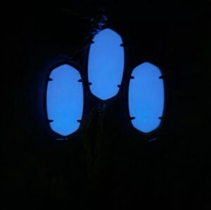 Kendra Scott GLOW in DARK Danielle Earrings Rayne Necklace